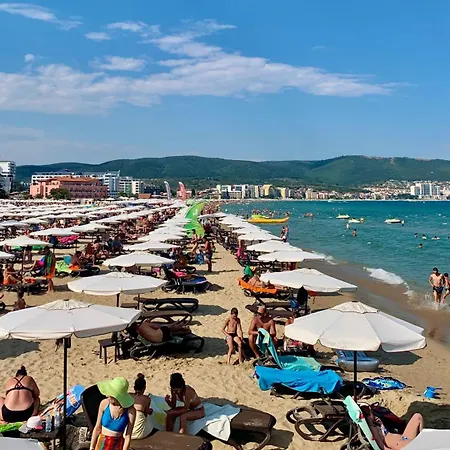 Prime Location Midia * Sunny Beach